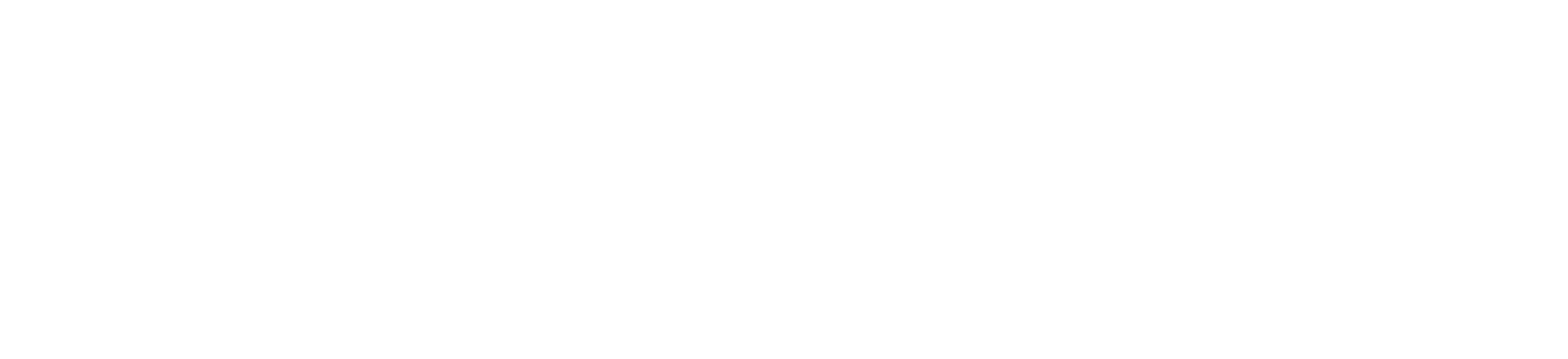 Bruns Bros. logo